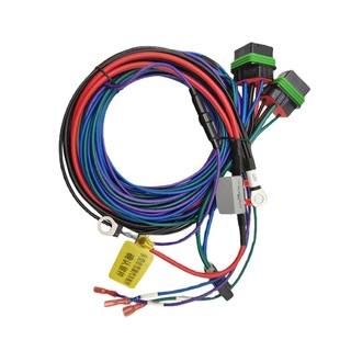 40A relay connection line high quality automobile wiring harness all kinds of automobile wiring processing custom